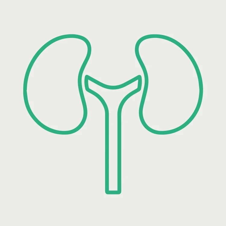 Mitra renal care — kidney solutions