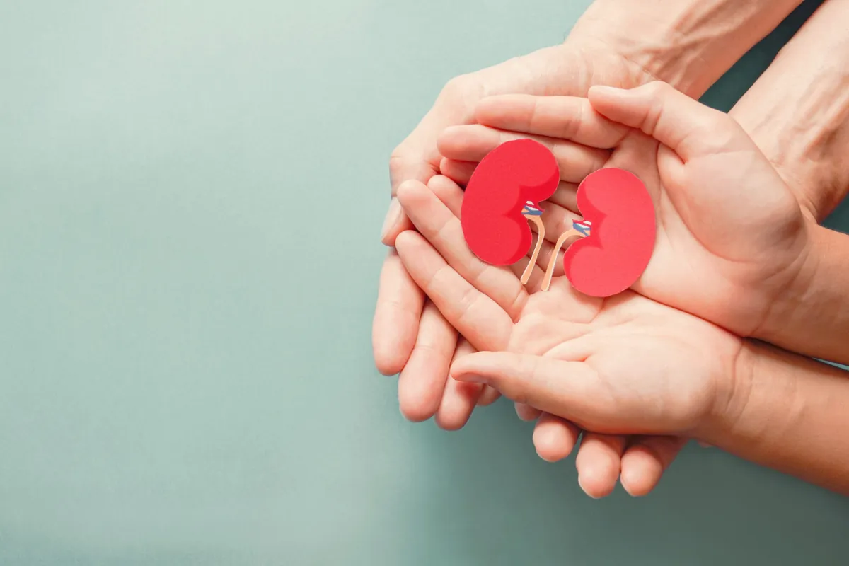 Kidney Health & you | How to prevent kidney diseases
