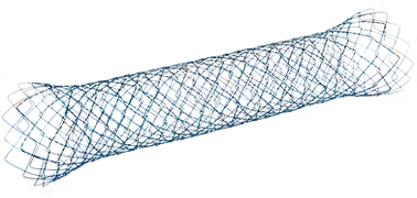 Enteral Stents